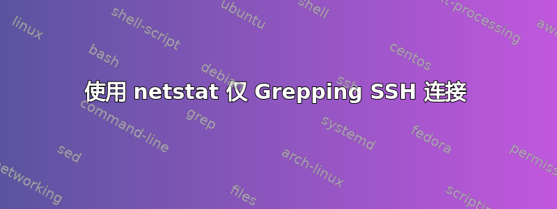 使用 netstat 仅 Grepping SSH 连接