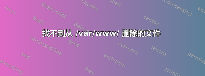 找不到从 /var/www/ 删除的文件