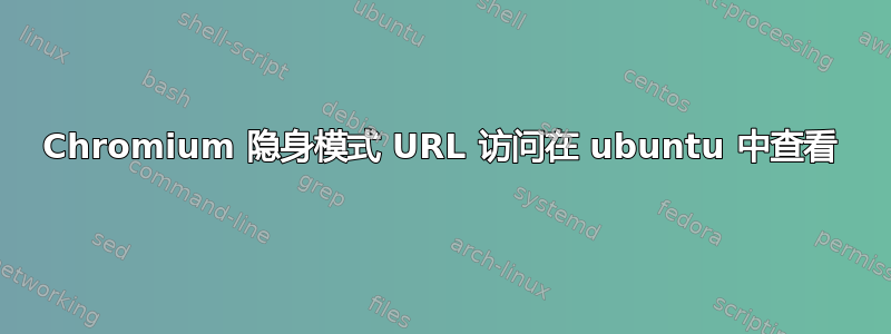 Chromium 隐身模式 URL 访问在 ubuntu 中查看