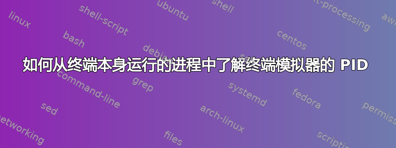 如何从终端本身运行的进程中了解终端模拟器的 PID