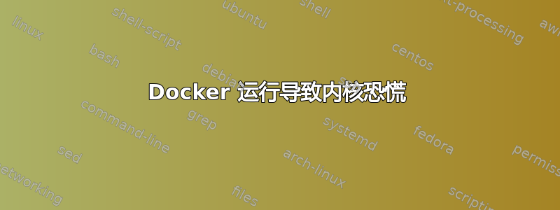 Docker 运行导致内核恐慌