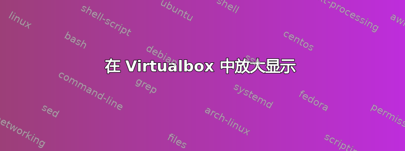 在 Virtualbox 中放大显示