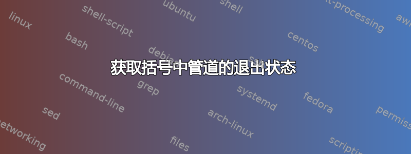 获取括号中管道的退出状态