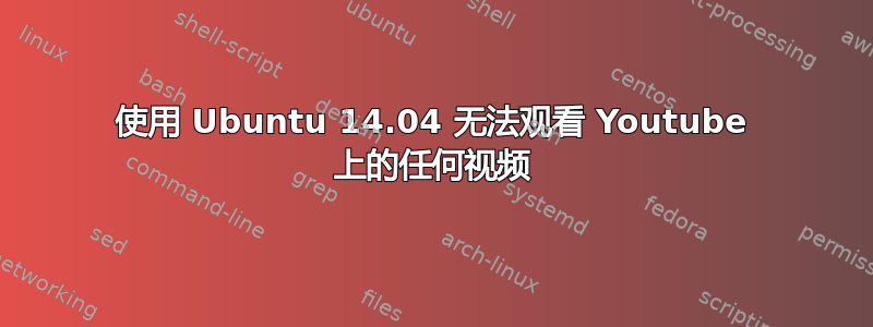 使用 Ubuntu 14.04 无法观看 Youtube 上的任何视频