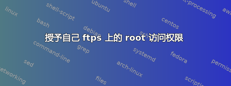 授予自己 ftps 上的 root 访问权限