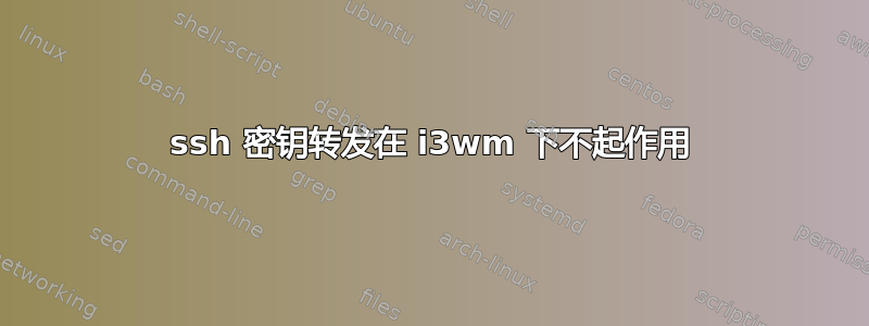 ssh 密钥转发在 i3wm 下不起作用