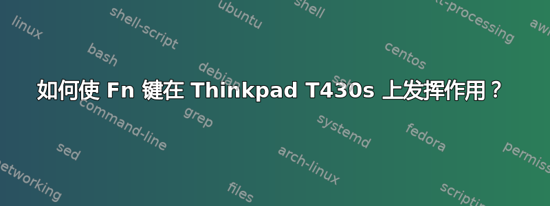 如何使 Fn 键在 Thinkpad T430s 上发挥作用？