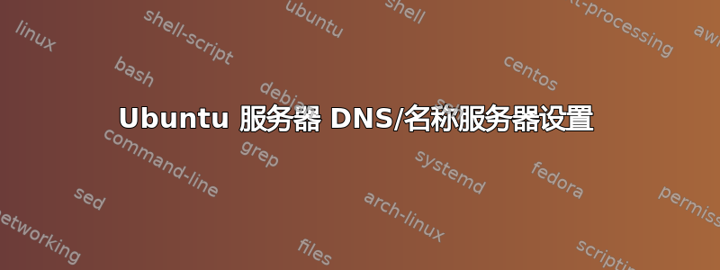 Ubuntu 服务器 DNS/名称服务器设置