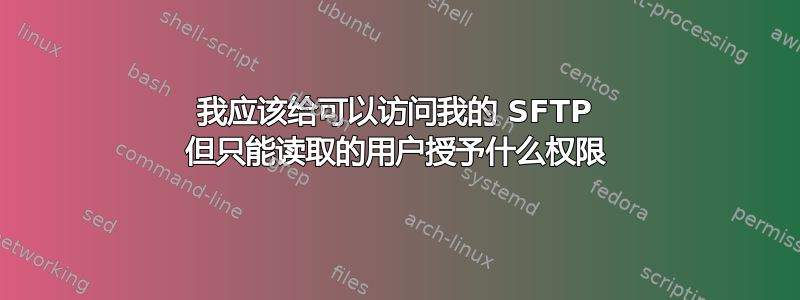 我应该给可以访问我的 SFTP 但只能读取的用户授予什么权限