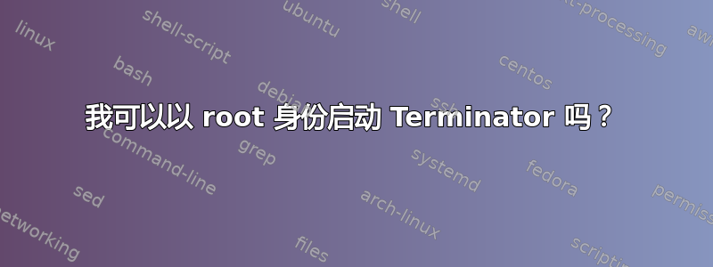 我可以以 root 身份启动 Terminator 吗？