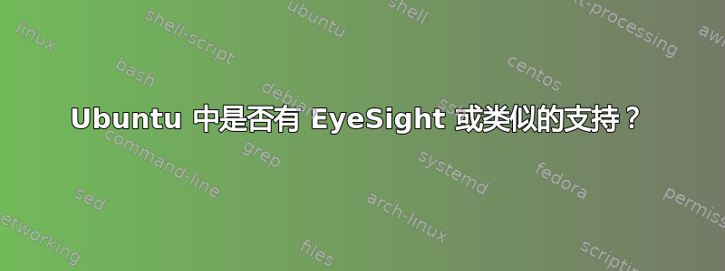 Ubuntu 中是否有 EyeSight 或类似的支持？