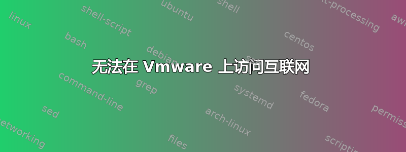 无法在 Vmware 上访问互联网