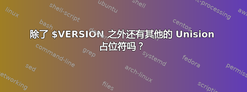 除了 $VERSION 之外还有其他的 Unision 占位符吗？