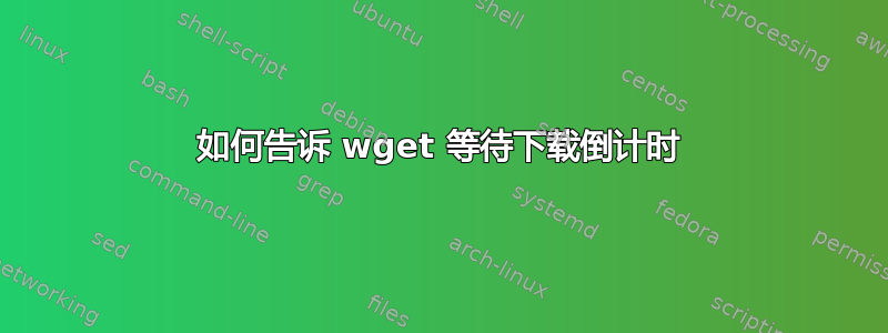 如何告诉 wget 等待下载倒计时