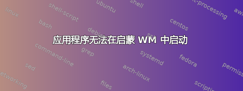 应用程序无法在启蒙 WM 中启动