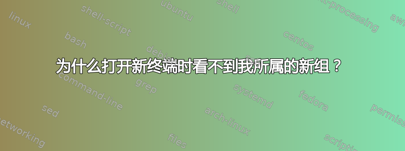 为什么打开新终端时看不到我所属的新组？