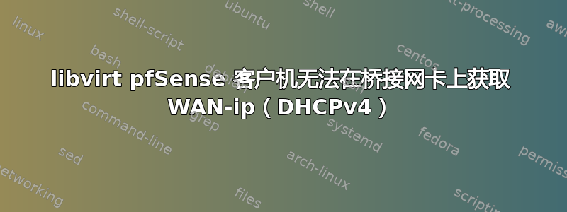 libvirt pfSense 客户机无法在桥接网卡上获取 WAN-ip（DHCPv4）