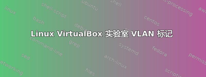 Linux VirtualBox 实验室 VLAN 标记