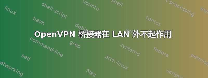 OpenVPN 桥接器在 LAN 外不起作用