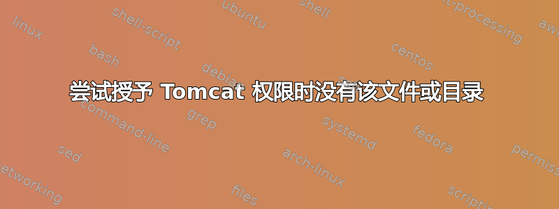 尝试授予 Tomcat 权限时没有该文件或目录