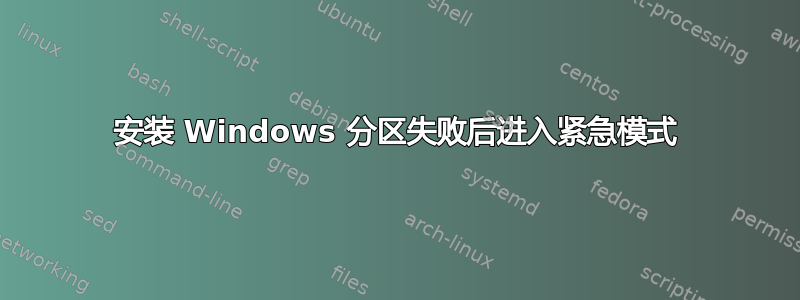 安装 Windows 分区失败后进入紧急模式