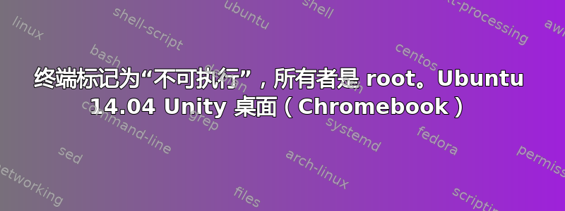 终端标记为“不可执行”，所有者是 root。Ubuntu 14.04 Unity 桌面（Chromebook）