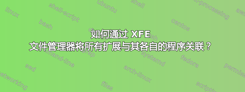 如何通过 XFE 文件管理器将所有扩展与其各自的程序关联？