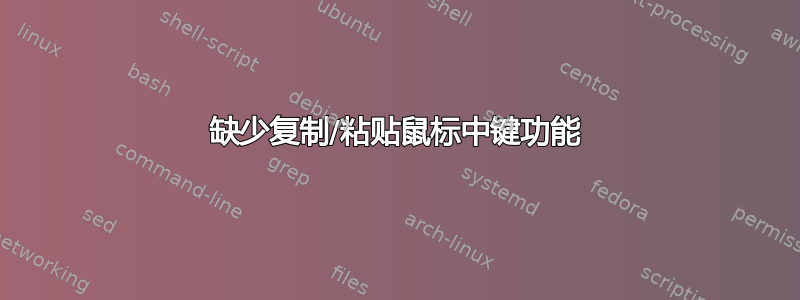 缺少复制/粘贴鼠标中键功能