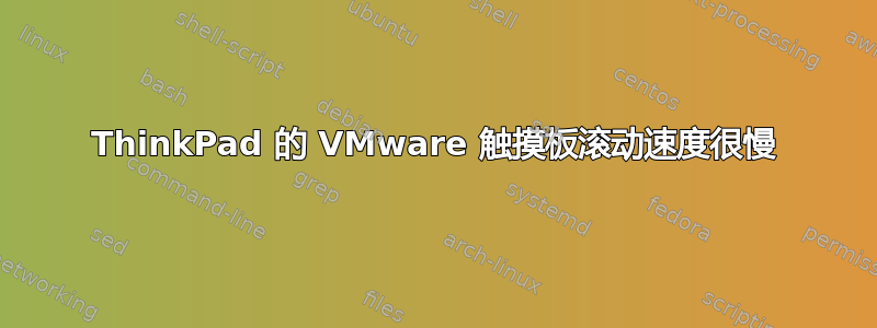 ThinkPad 的 VMware 触摸板滚动速度很慢