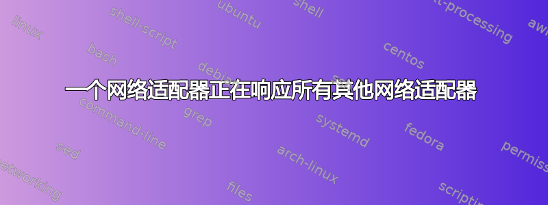 一个网络适配器正在响应所有其他网络适配器