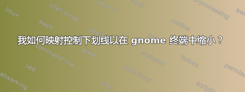 我如何映射控制下划线以在 gnome 终端中缩小？