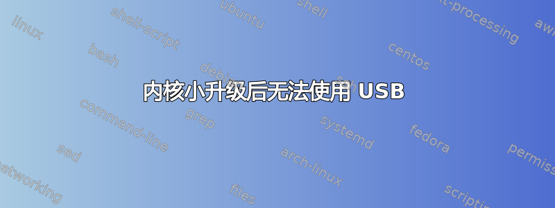 内核小升级后无法使用 USB