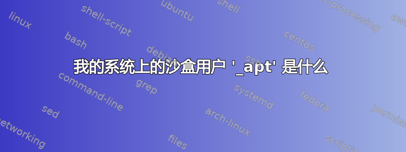 我的系统上的沙盒用户 '_apt' 是什么