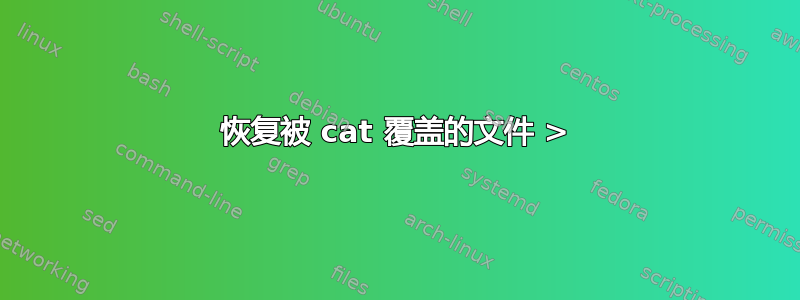 恢复被 cat 覆盖的文件 >