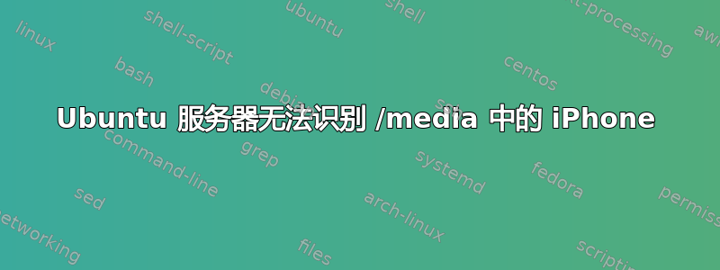 Ubuntu 服务器无法识别 /media 中的 iPhone