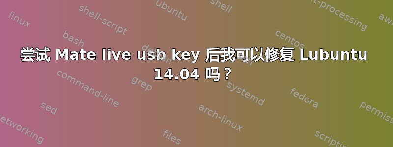 尝试 Mate live usb key 后我可以修复 Lubuntu 14.04 吗？