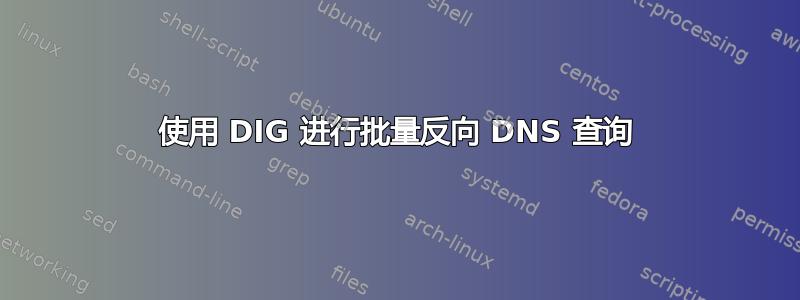 使用 DIG 进行批量反向 DNS 查询