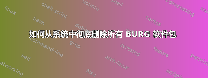 如何从系统中彻底删除所有 BURG 软件包