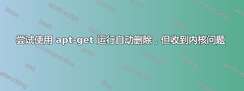 尝试使用 apt-get 运行自动删除，但收到内核问题