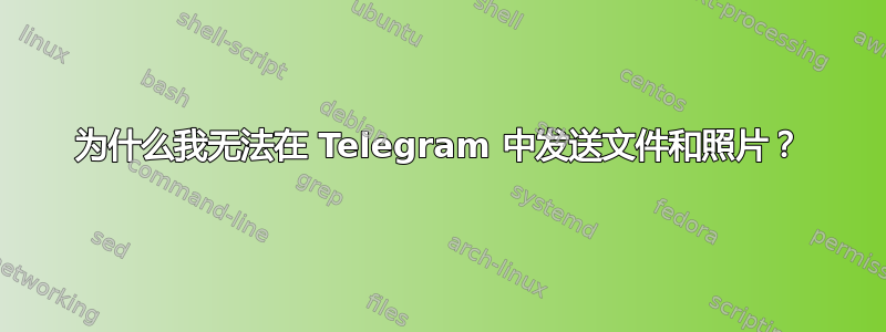 为什么我无法在 Telegram 中发送文件和照片？