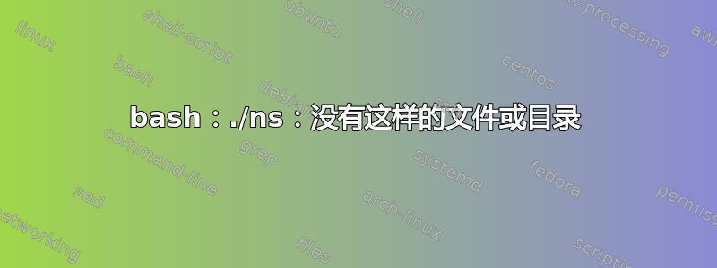 bash：./ns：没有这样的文件或目录