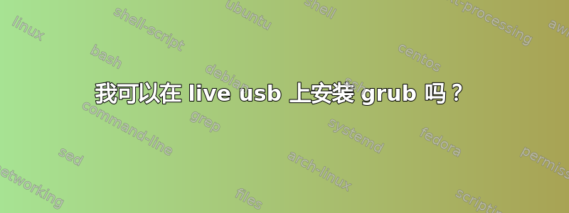 我可以在 live usb 上安装 grub 吗？