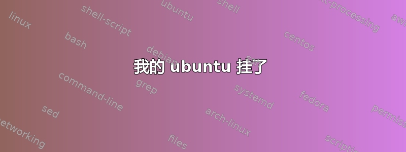 我的 ubuntu 挂了