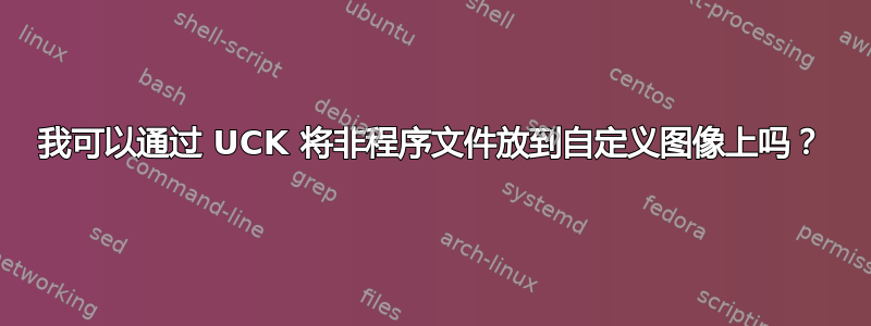 我可以通过 UCK 将非程序文件放到自定义图像上吗？