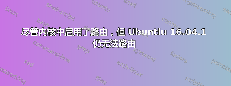 尽管内核中启用了路由，但 Ubuntiu 16.04.1 仍无法路由