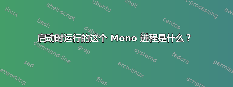 启动时运行的这个 Mono 进程是什么？