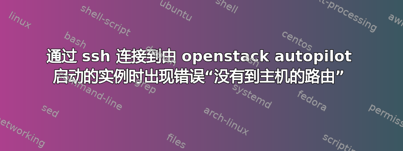 通过 ssh 连接到由 openstack autopilot 启动的实例时出现错误“没有到主机的路由”