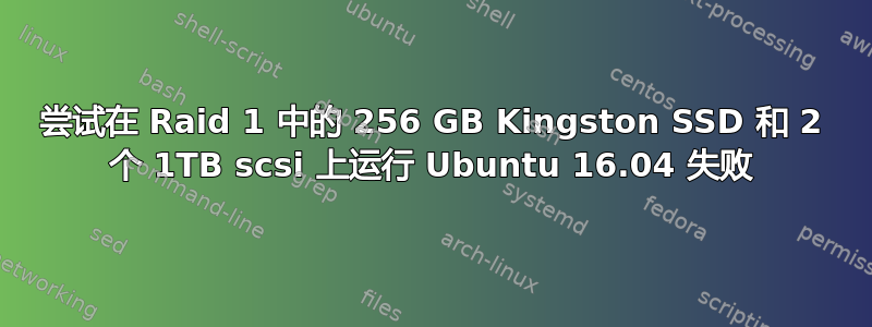 尝试在 Raid 1 中的 256 GB Kingston SSD 和 2 个 1TB scsi 上运行 Ubuntu 16.04 失败