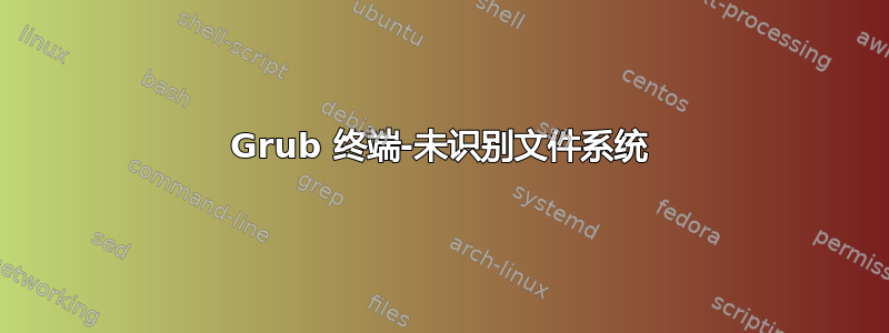 Grub 终端-未识别文件系统