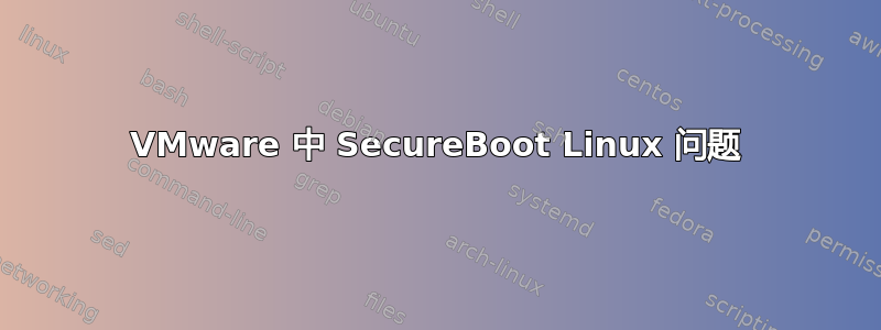 VMware 中 SecureBoot Linux 问题